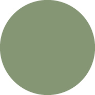 MIST GREEN